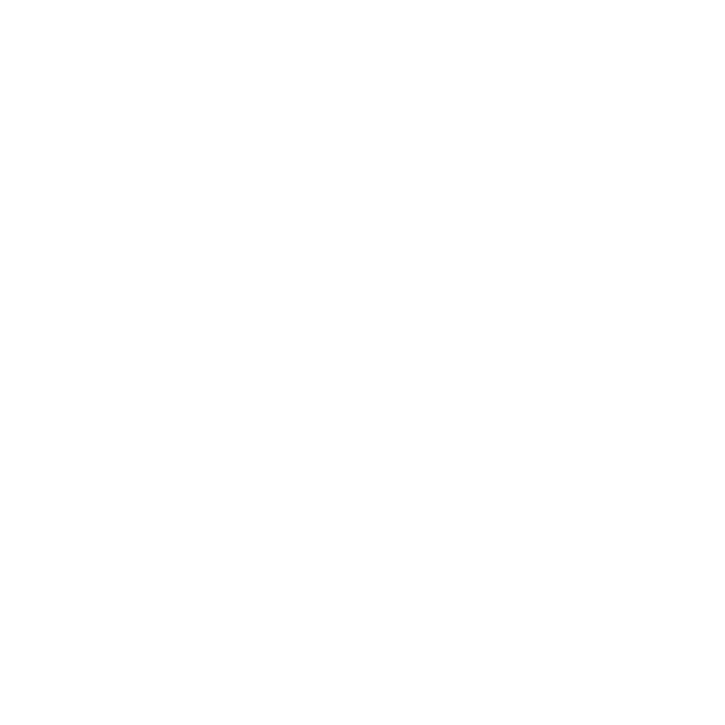 CAD Conversion